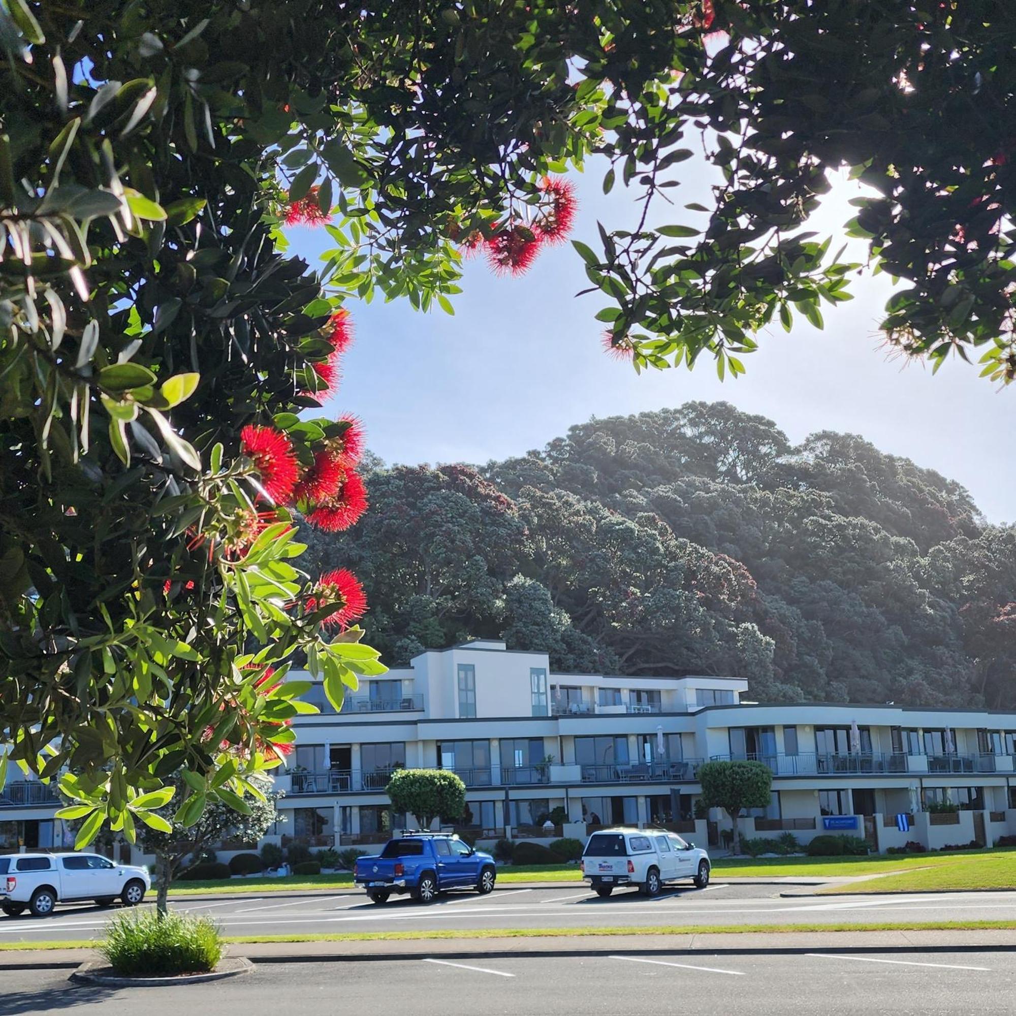 Beachpoint Apartments Ohope Buitenkant foto